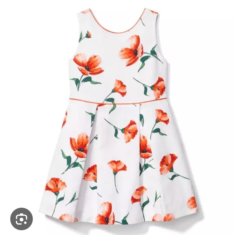 NWT Janie and jack poppy dress, size 5
